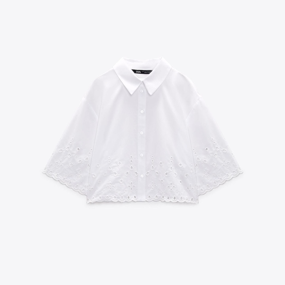 Zara Embroidered Eyelet Crop Blouse